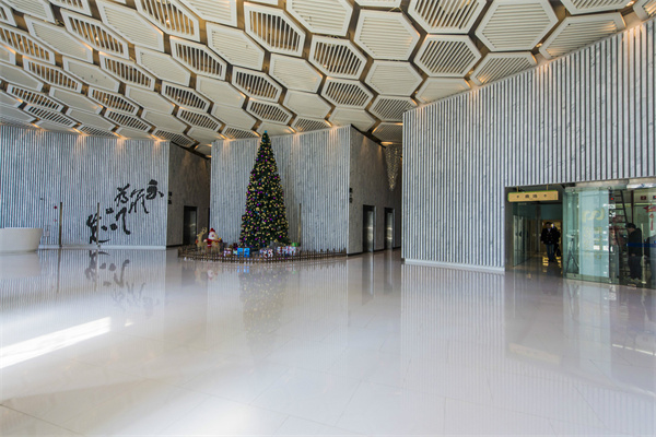 1788国际中心公区